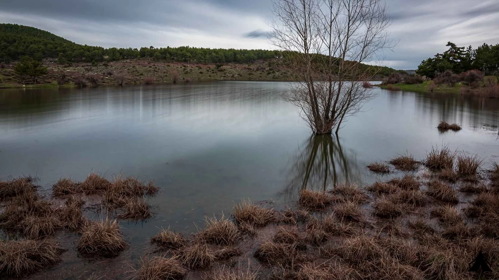 Sorgun Göleti Tabiat Parkı — fotoğraf 4