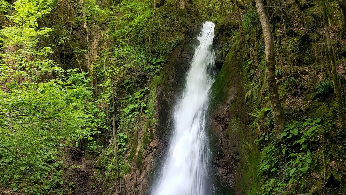 Aydınpınar Şelaleleri  Tabiat Parkı — fotoğraf 2
