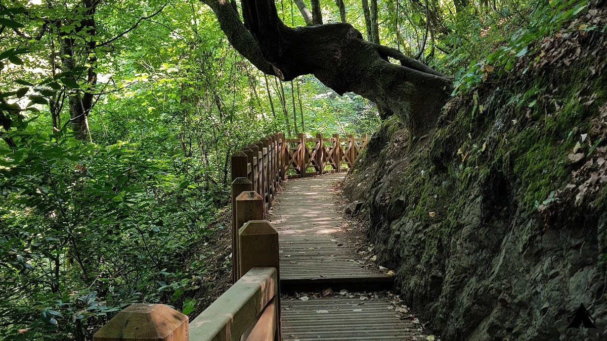 Aydınpınar Şelaleleri  Tabiat Parkı — fotoğraf 5