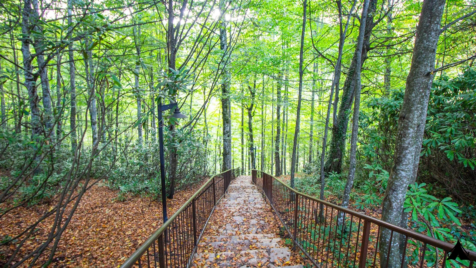 Güzeldere Şelalesi  Tabiat Parkı — fotoğraf 3
