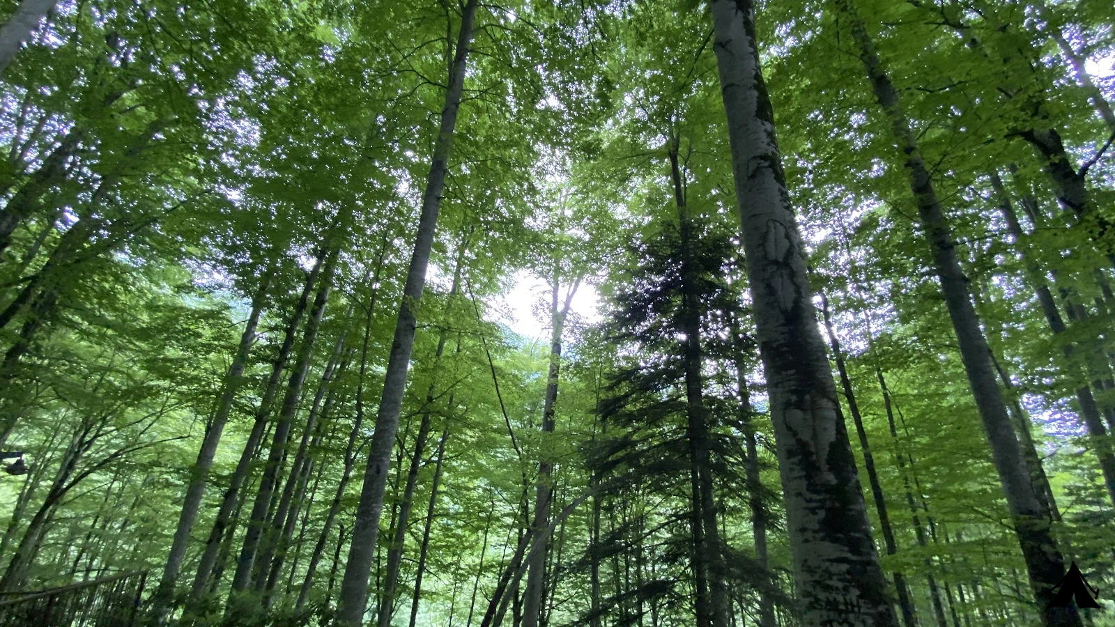 Güzeldere Şelalesi  Tabiat Parkı — fotoğraf 4