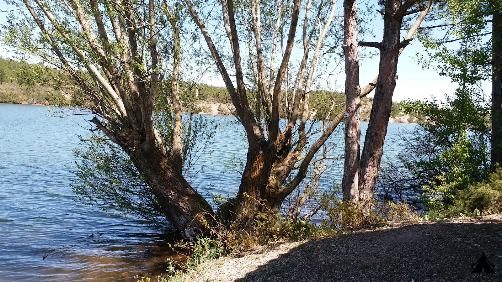 Musaözü  Tabiat Parkı — fotoğraf 5