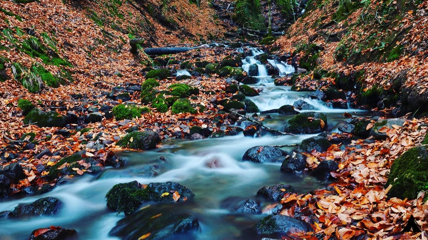 Yedigöller Milli Parkı — fotoğraf 4