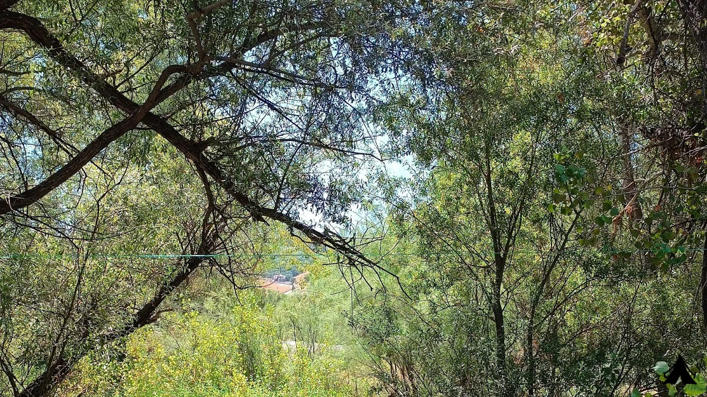 Örenönü Tabiat Parkı — fotoğraf 5