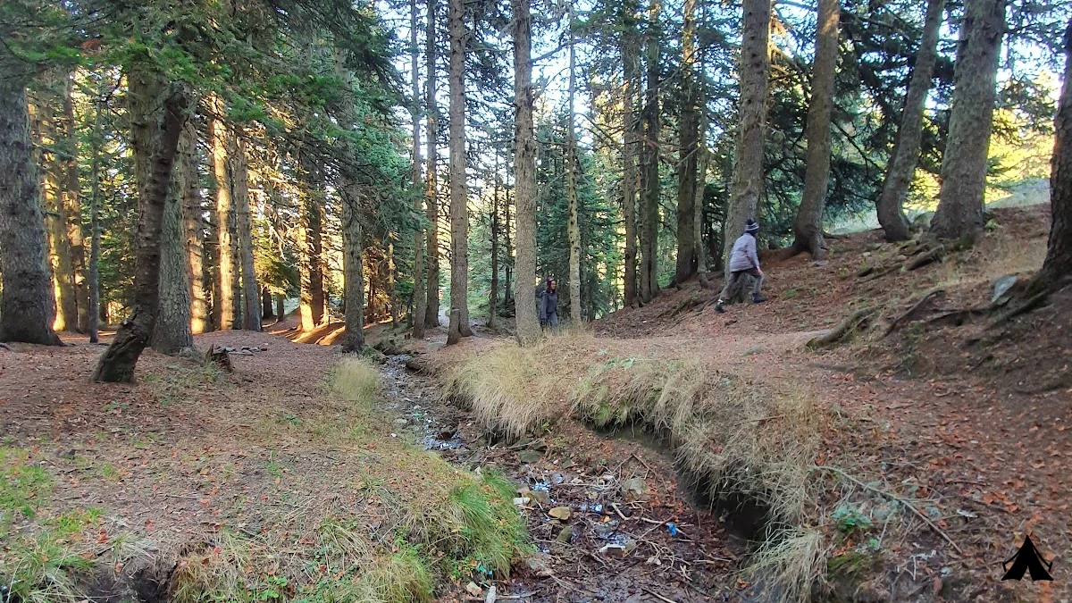 Uludağ Milli Parkı — fotoğraf 5