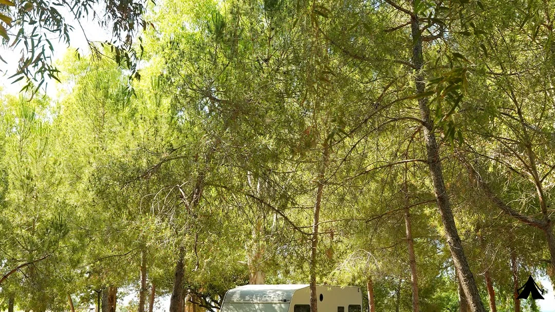 Gümüldür  Tabiat Parkı — fotoğraf 5