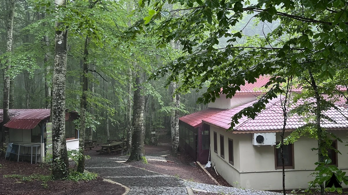 Erikli  Tabiat Parkı — fotoğraf 2