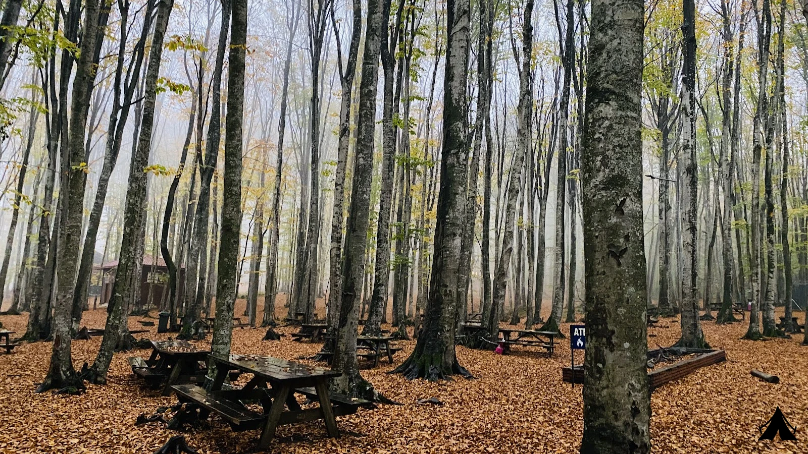 Erikli  Tabiat Parkı — fotoğraf 3
