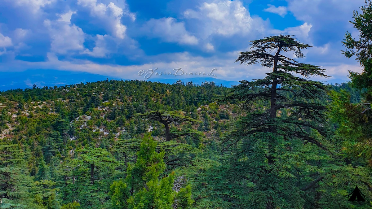 Kızıldağ Milli Parkı — fotoğraf 3