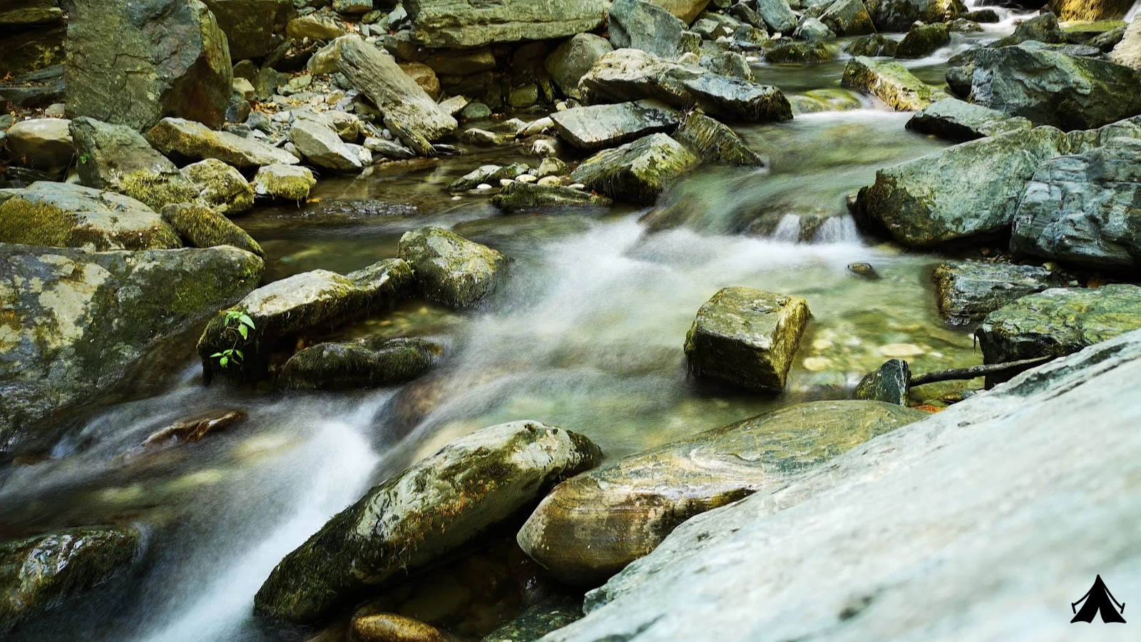 Kazdağı Milli Parkı — fotoğraf 5