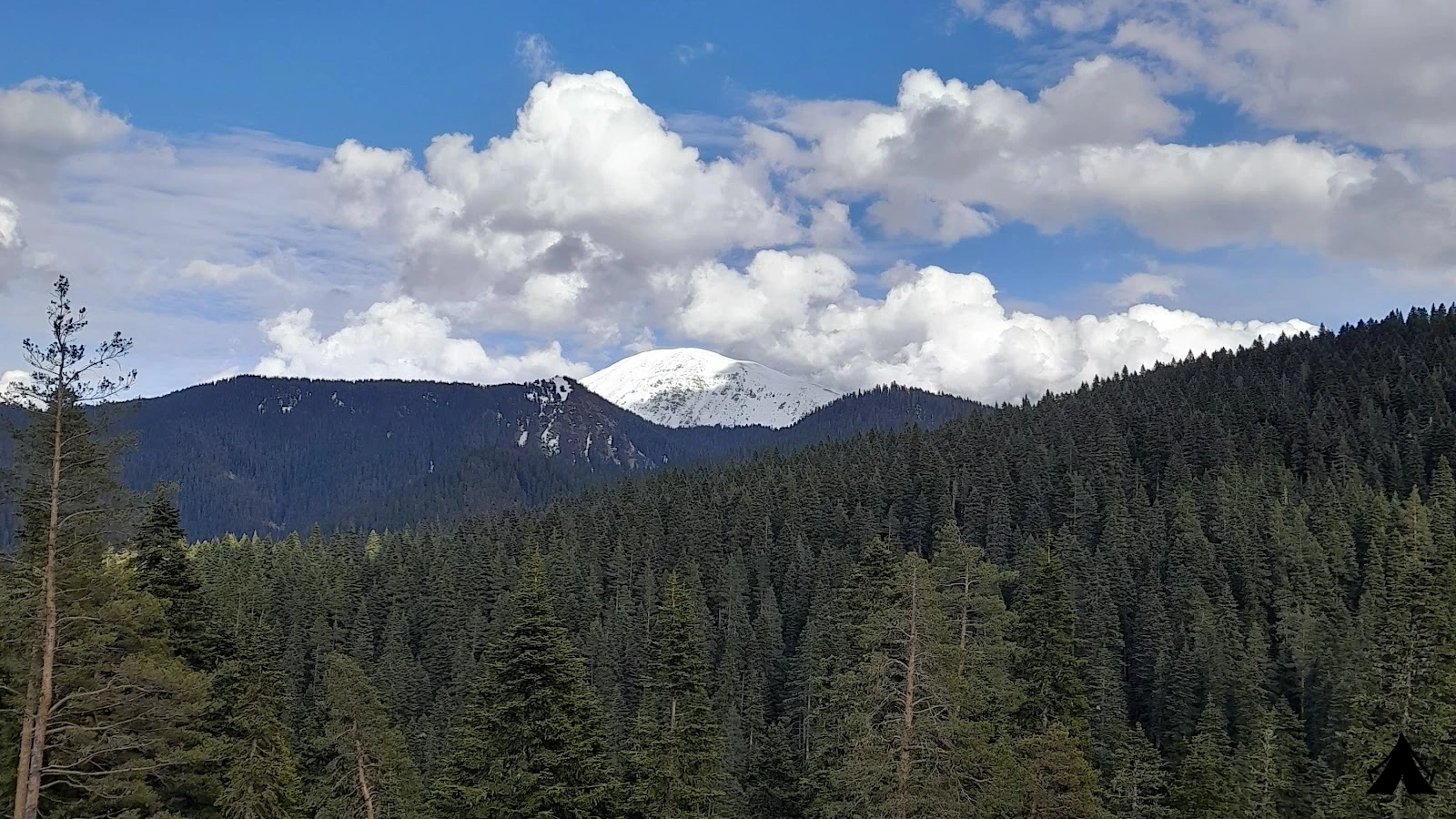 Ilgaz Dağı Milli Parkı — ana fotoğraf