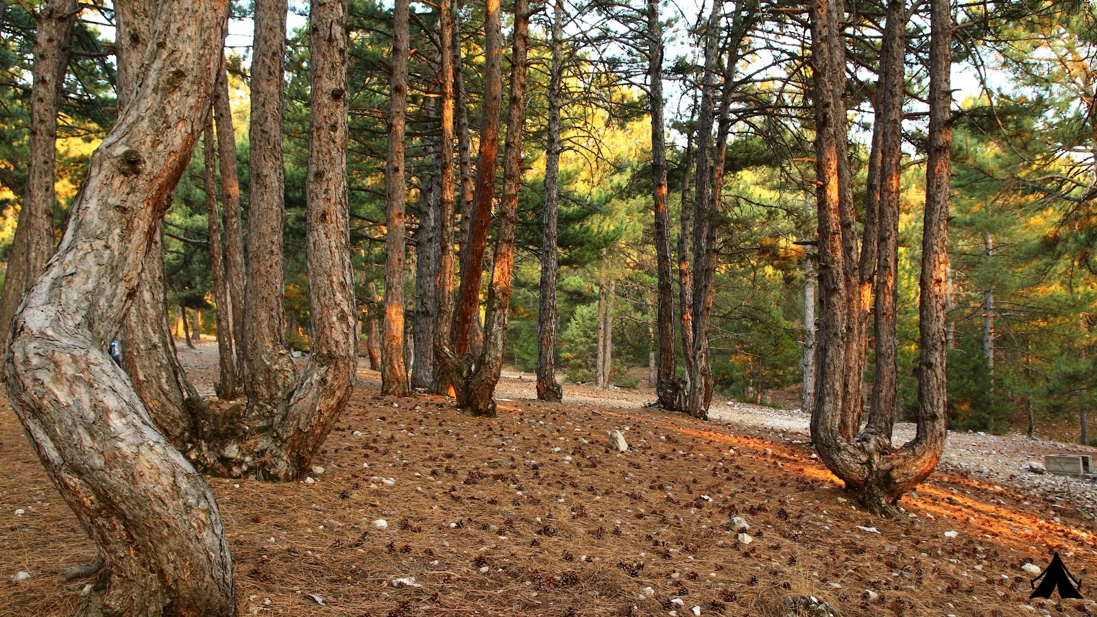 Honaz Dağı Milli Parkı — fotoğraf 2