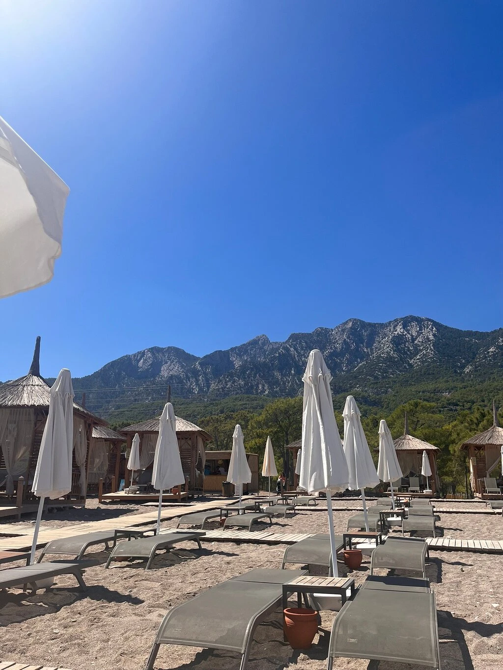 Büyük Çaltıcak — fotoğraf 3