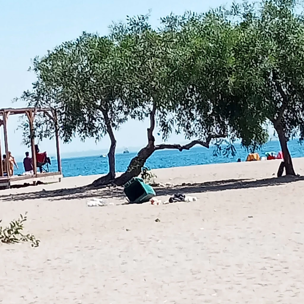 Büyük Çaltıcak — fotoğraf 4
