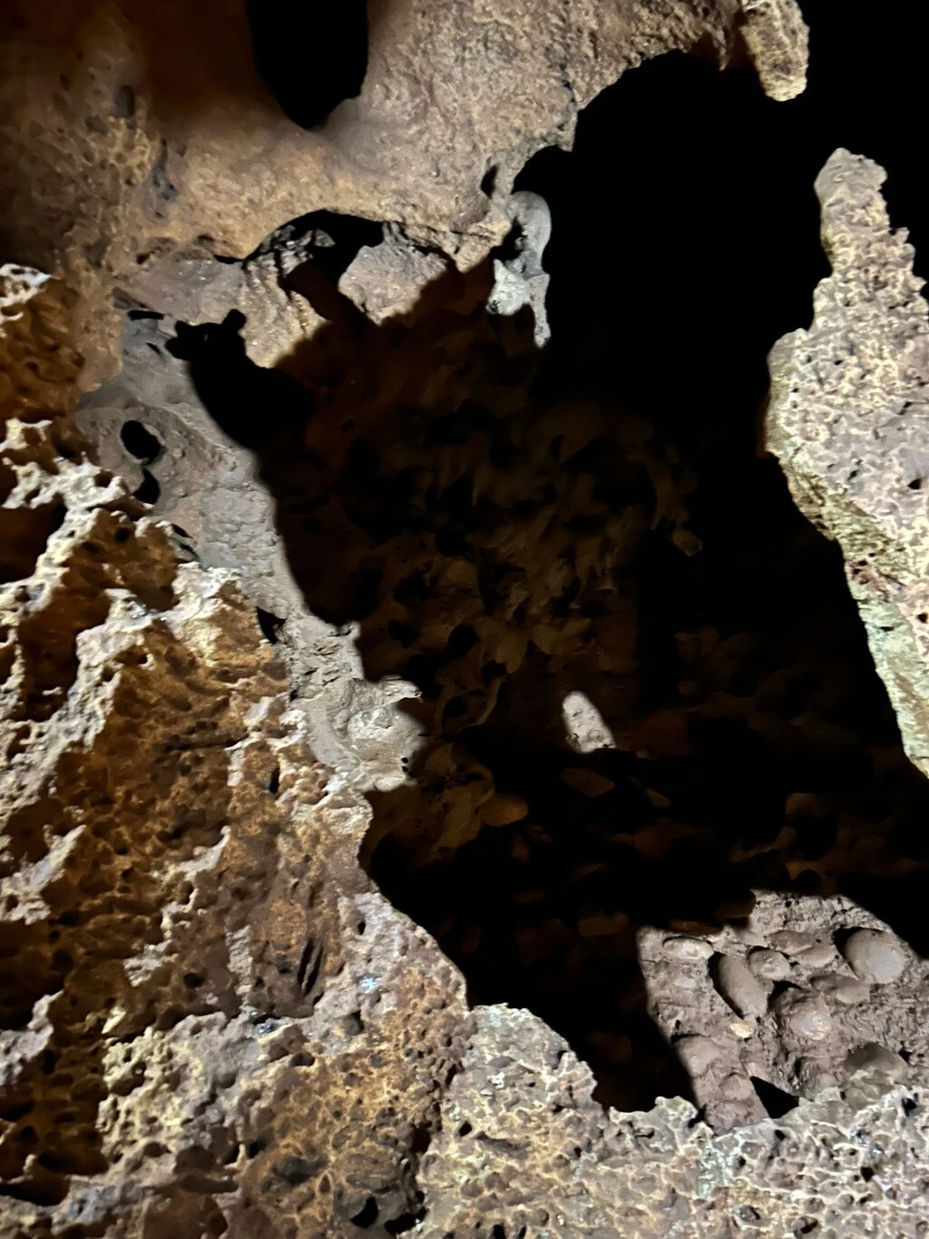 Dim Mağarası — fotoğraf 3