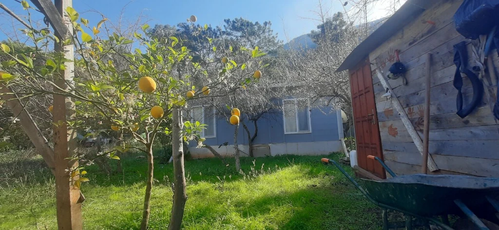 Gelidonya Feneri — fotoğraf 4