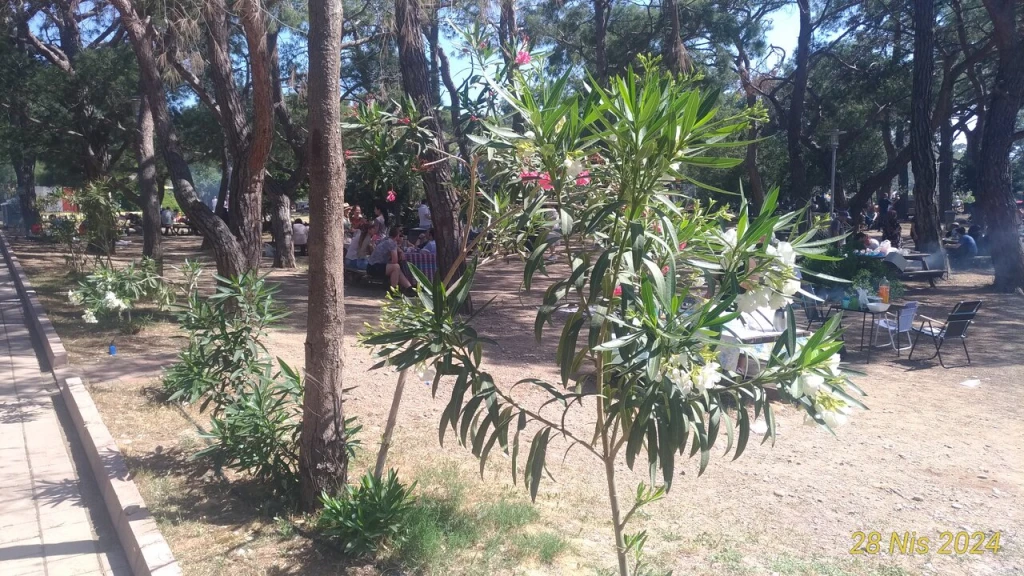 Kadınlar plajı — fotoğraf 2