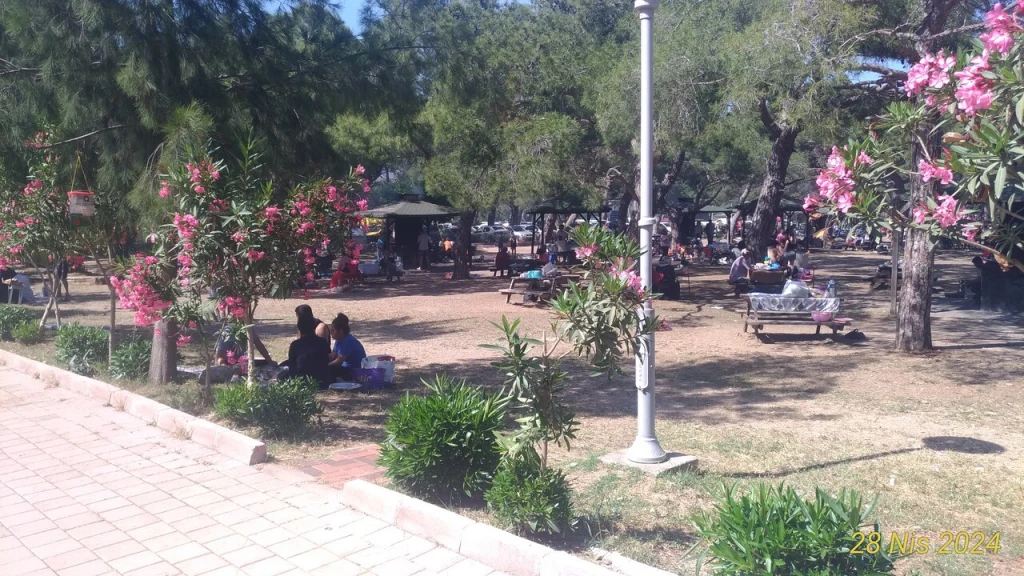Kadınlar plajı — fotoğraf 3