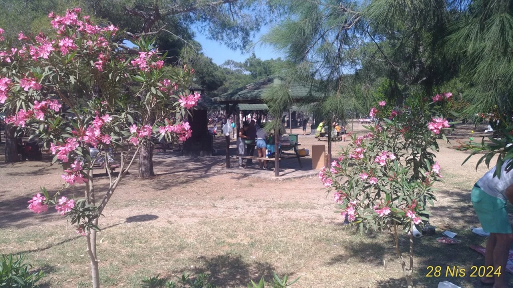 Kadınlar plajı — fotoğraf 5
