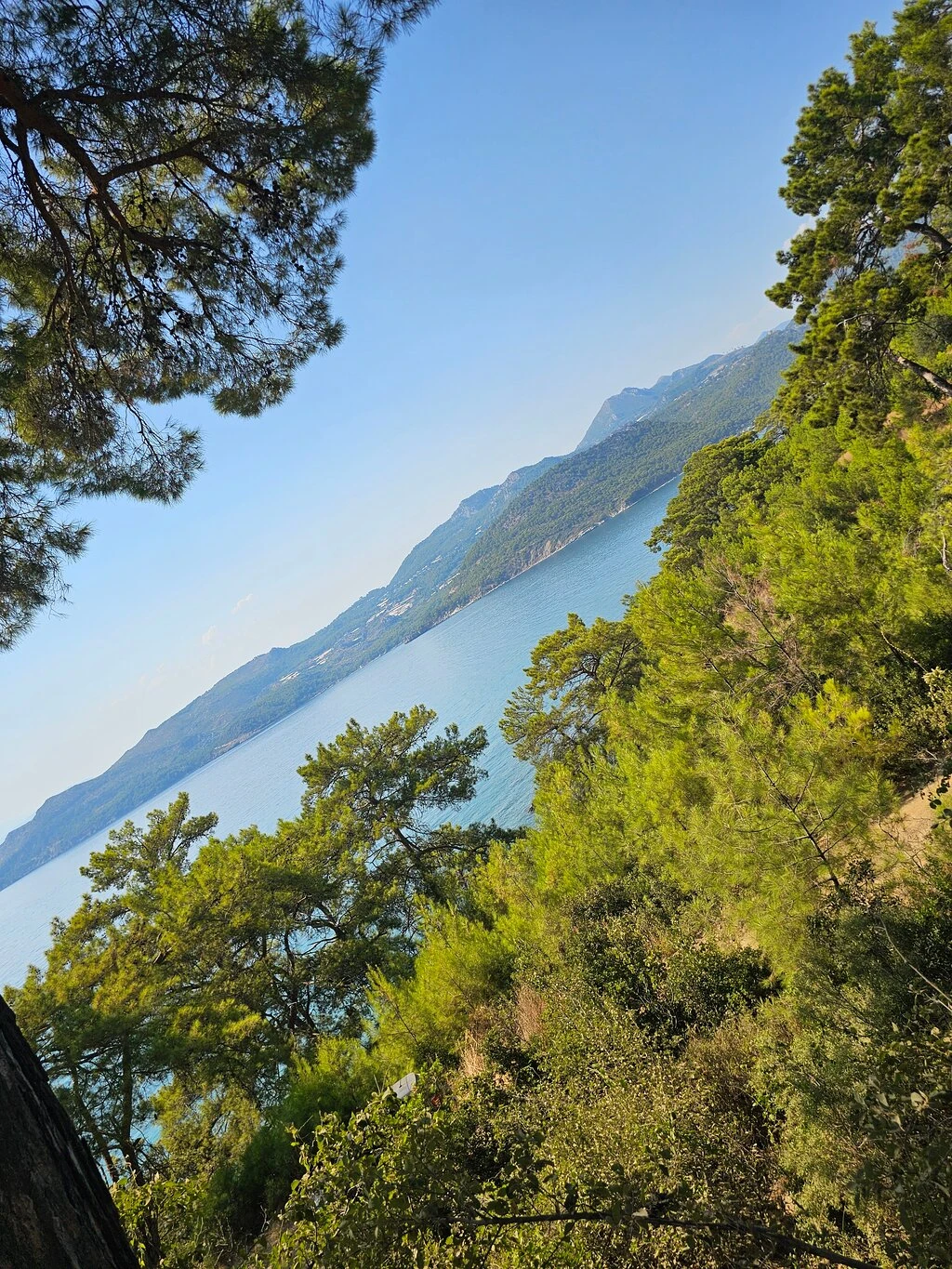 Korsan koyu — fotoğraf 2