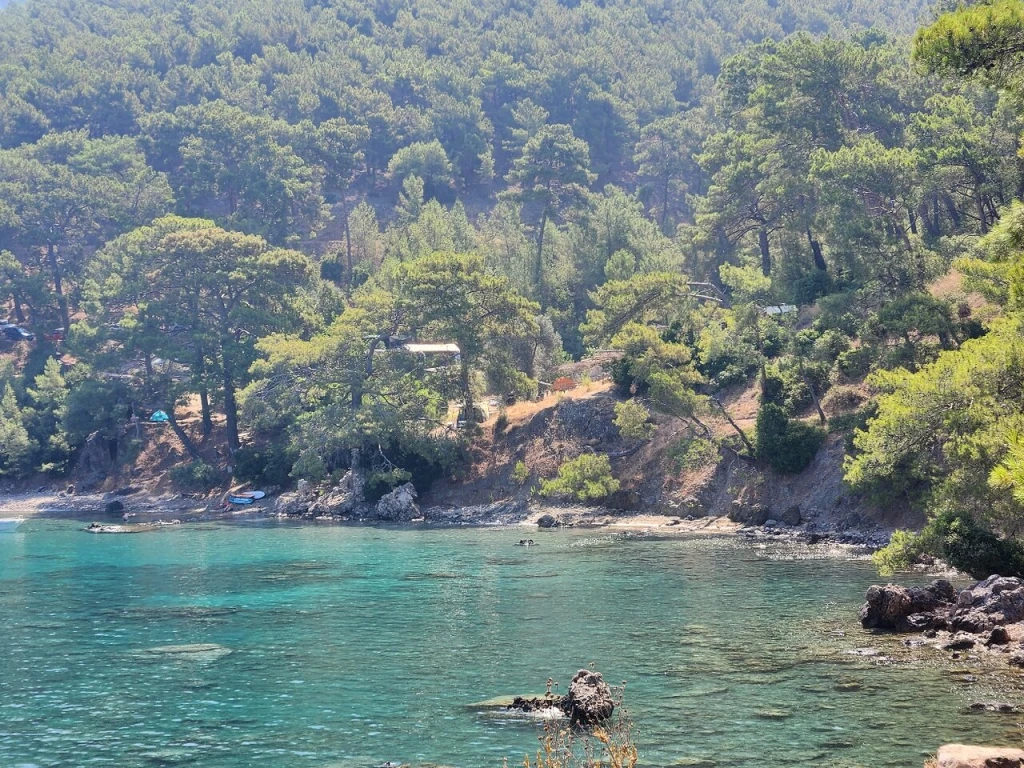 Korsan koyu — fotoğraf 4