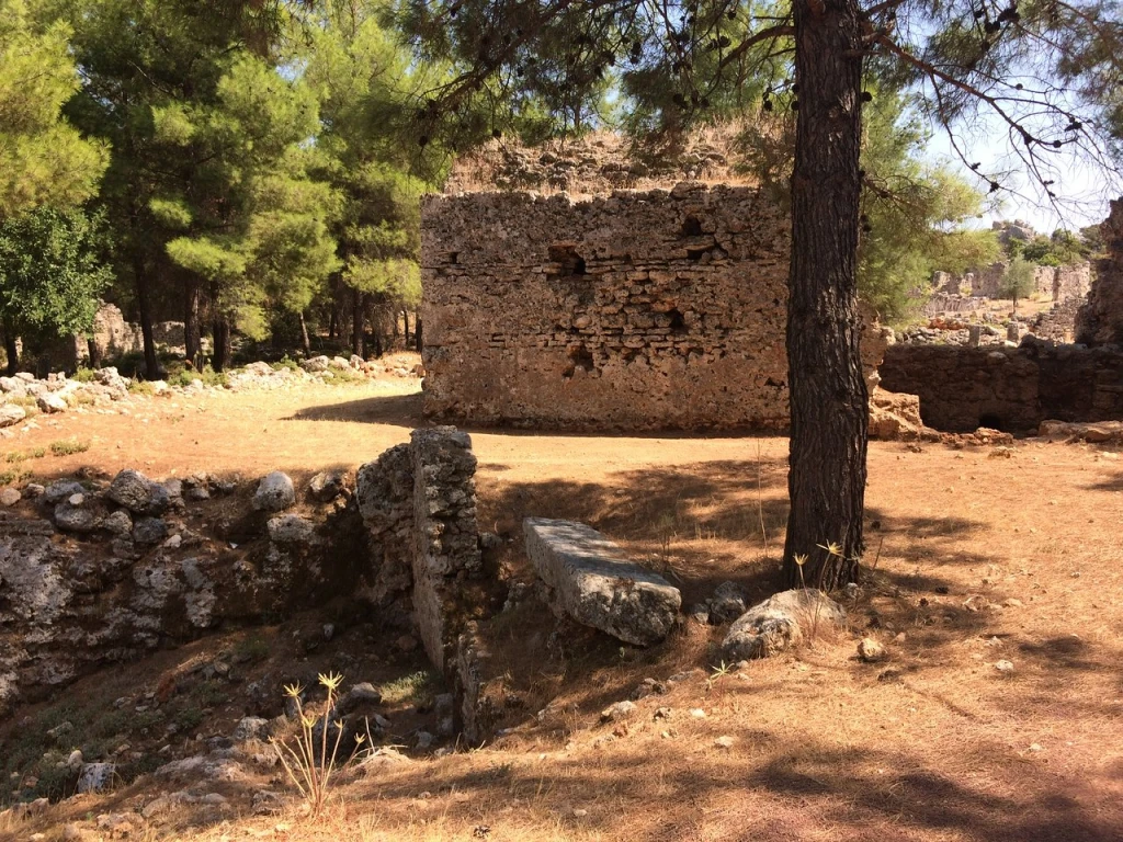 Lyrboton Kome — fotoğraf 5