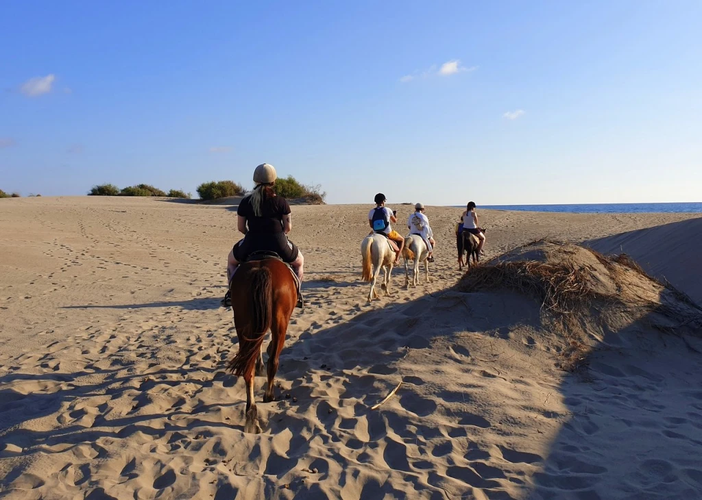 Patara Plajı — fotoğraf 5