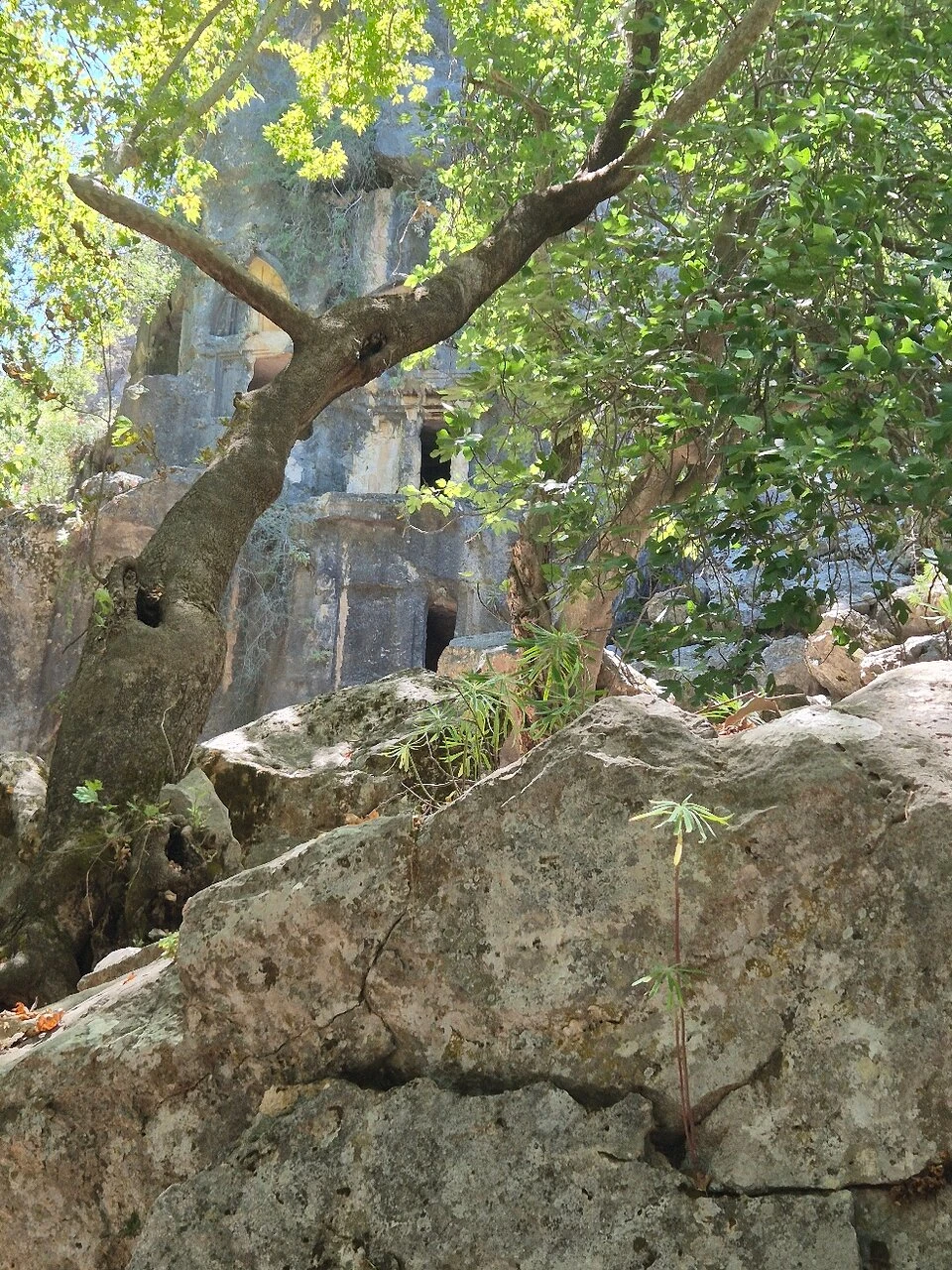Pinara Antik Kenti — fotoğraf 2