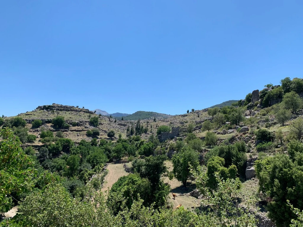 Selge — fotoğraf 5