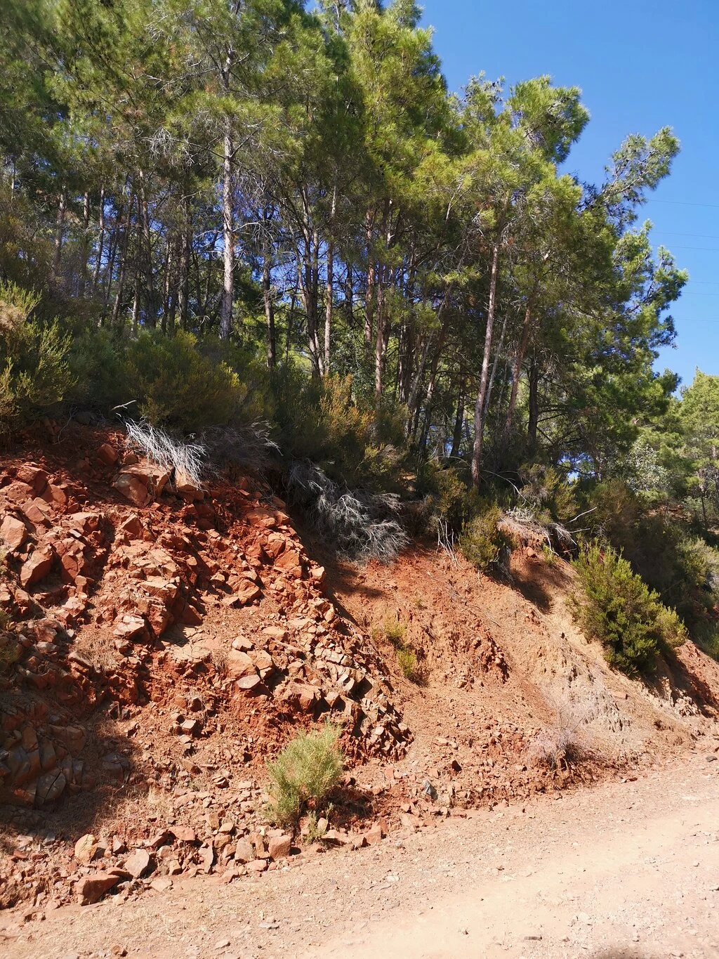 Tekirova Plajı — fotoğraf 4