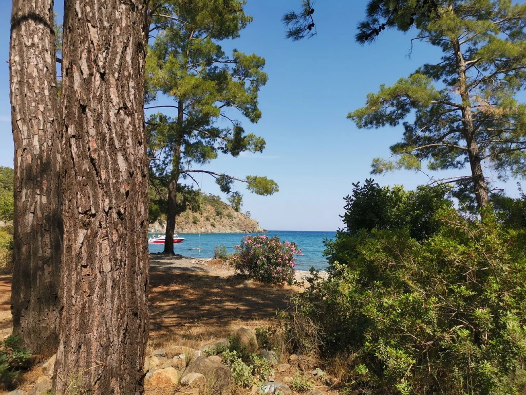 Tekirova Plajı — fotoğraf 5