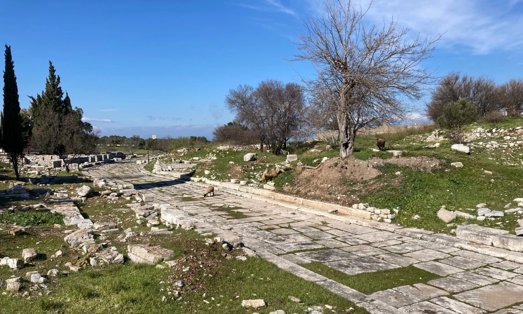 Didyma Apollon Tapınağı — fotoğraf 2