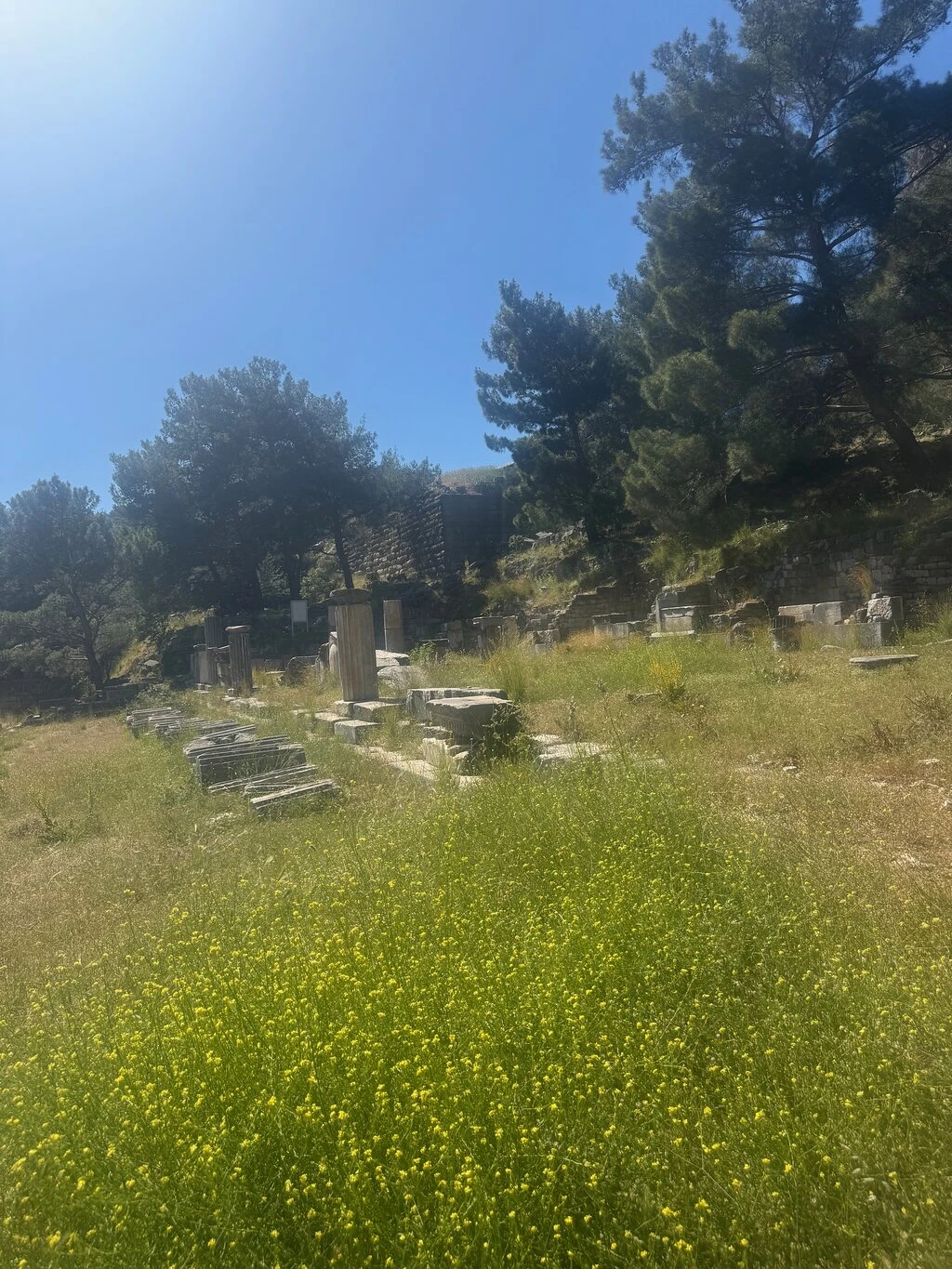 Priene Antik Kenti — ana fotoğraf