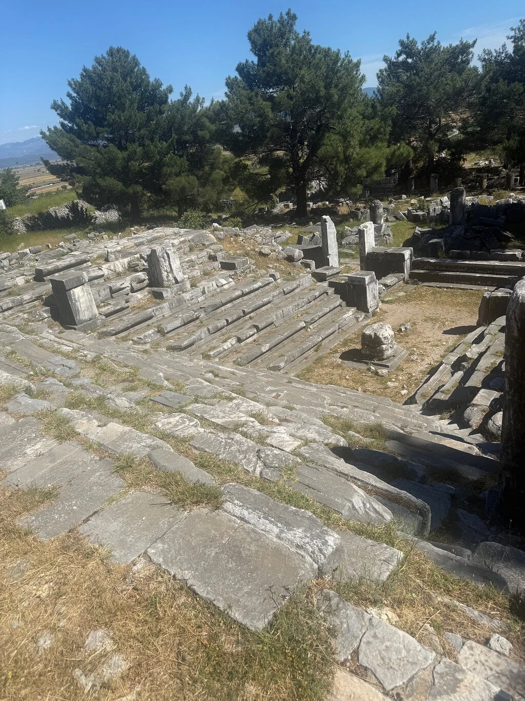 Priene Antik Kenti — fotoğraf 2