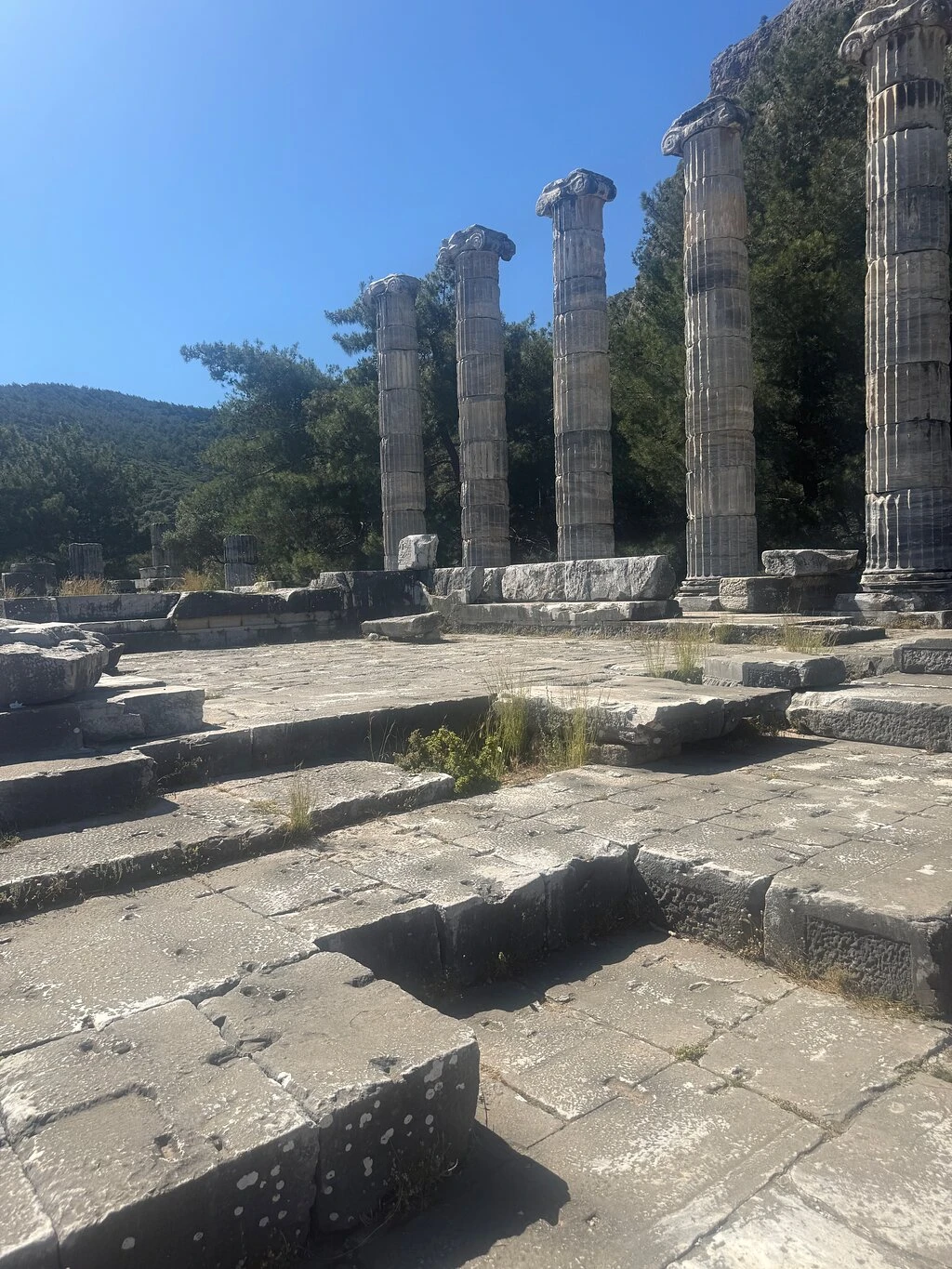Priene Antik Kenti — fotoğraf 4