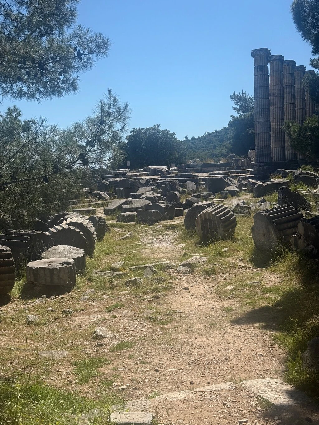 Priene Antik Kenti — fotoğraf 5