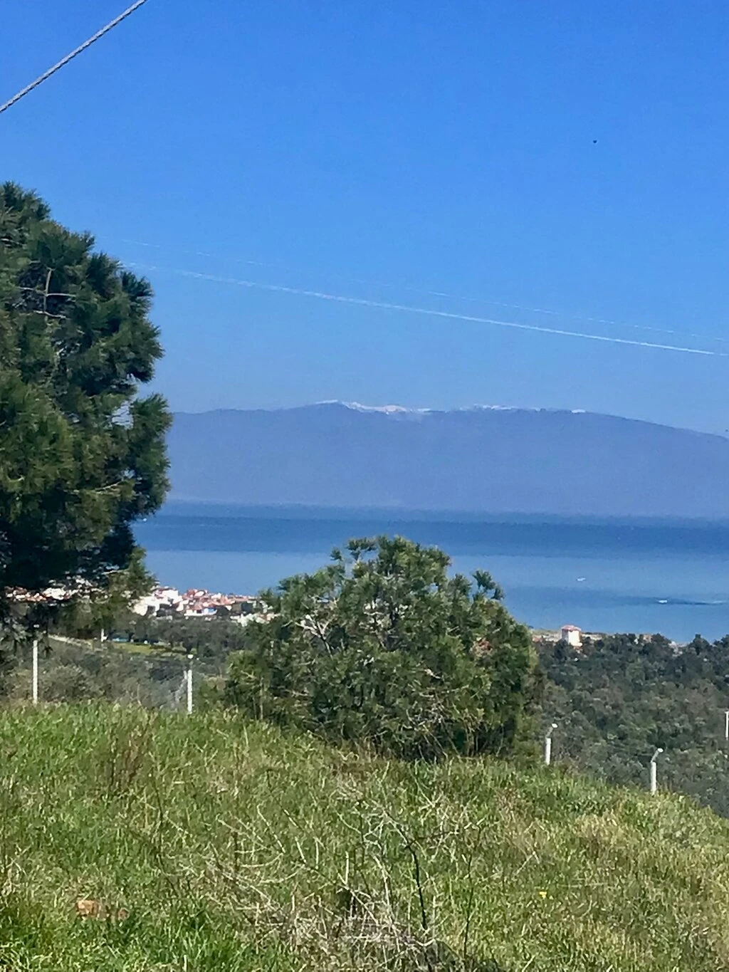 Ayvalık Adaları Tabiat Parkı — fotoğraf 2
