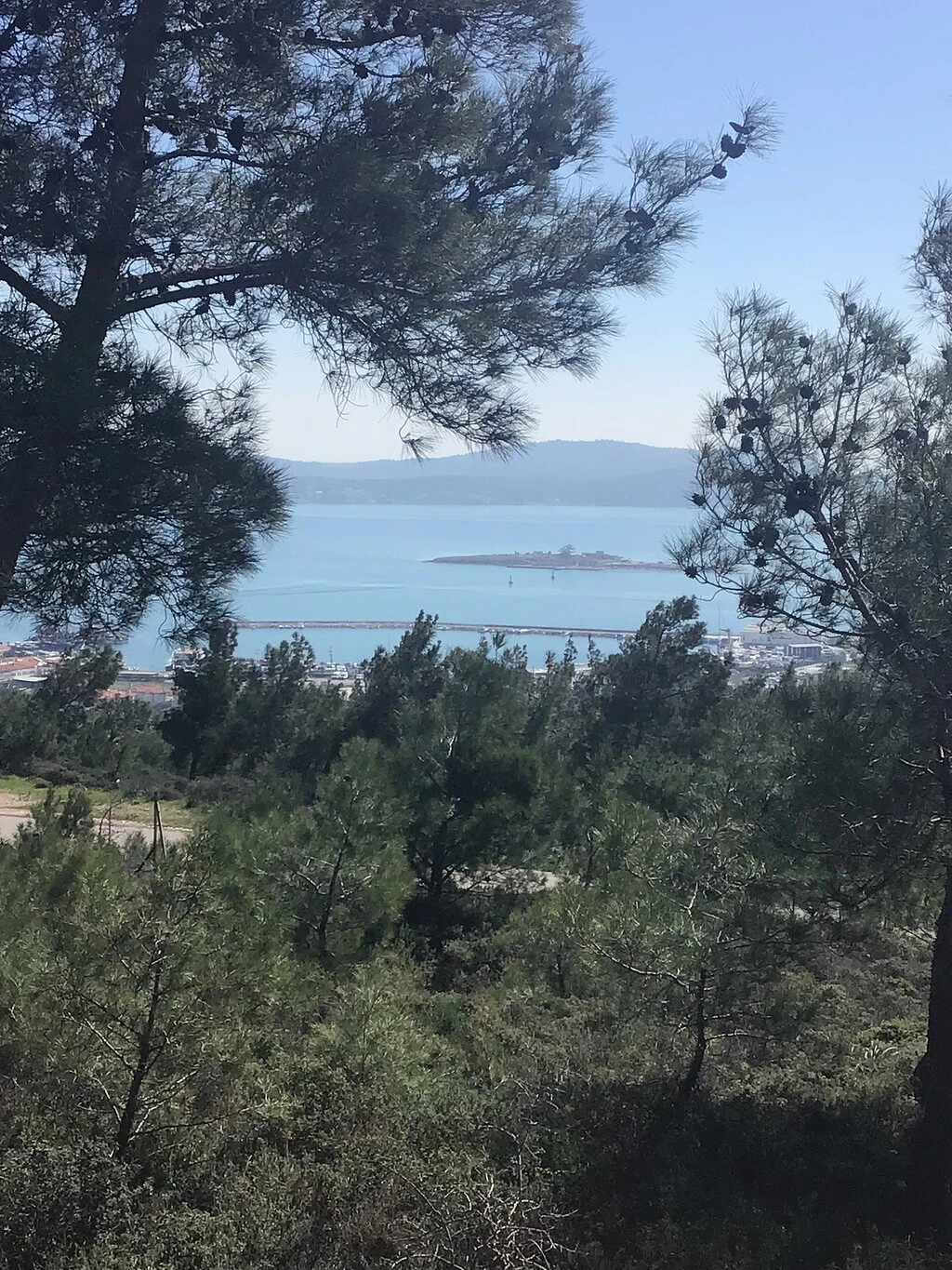 Ayvalık Adaları Tabiat Parkı — fotoğraf 5