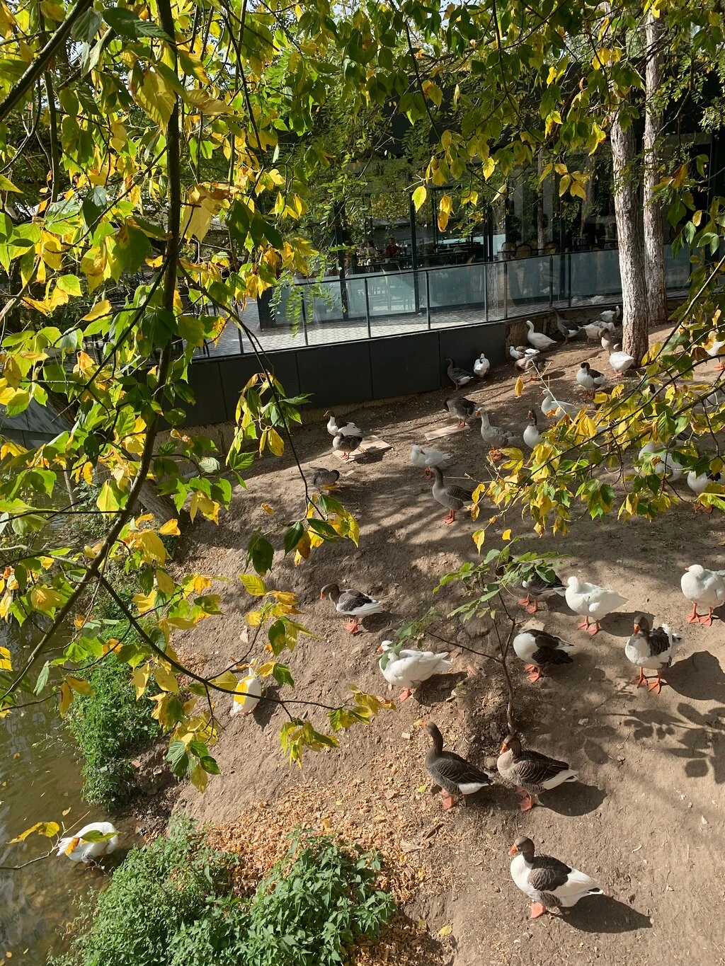 Değirmen Boğazı Tabiat Parkı — fotoğraf 3