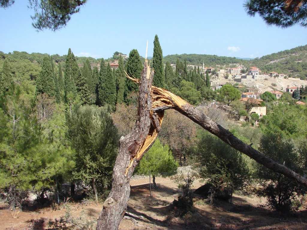 Kazdağı Millî Parkı — fotoğraf 2