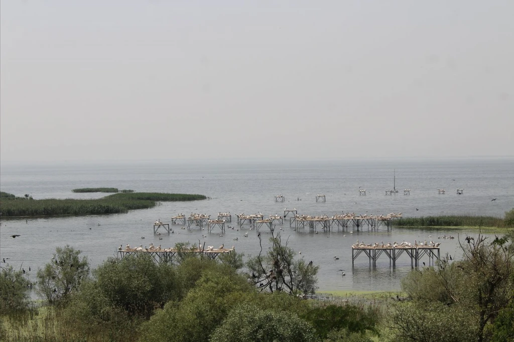 Kuşcenneti Millî Parkı — fotoğraf 4
