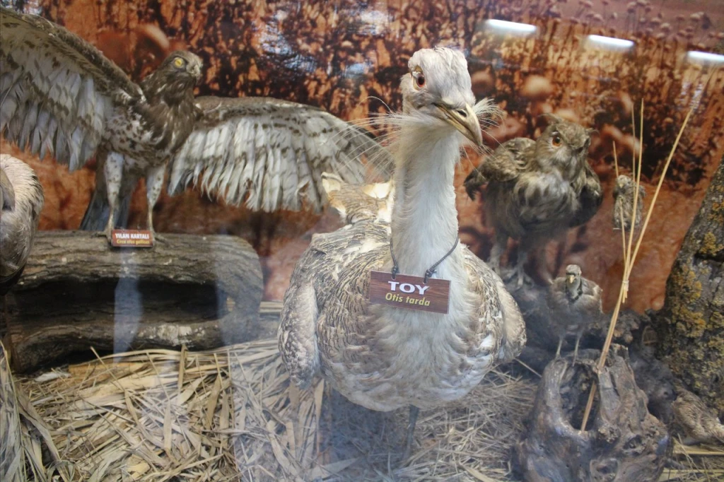 Kuşcenneti Millî Parkı — fotoğraf 5