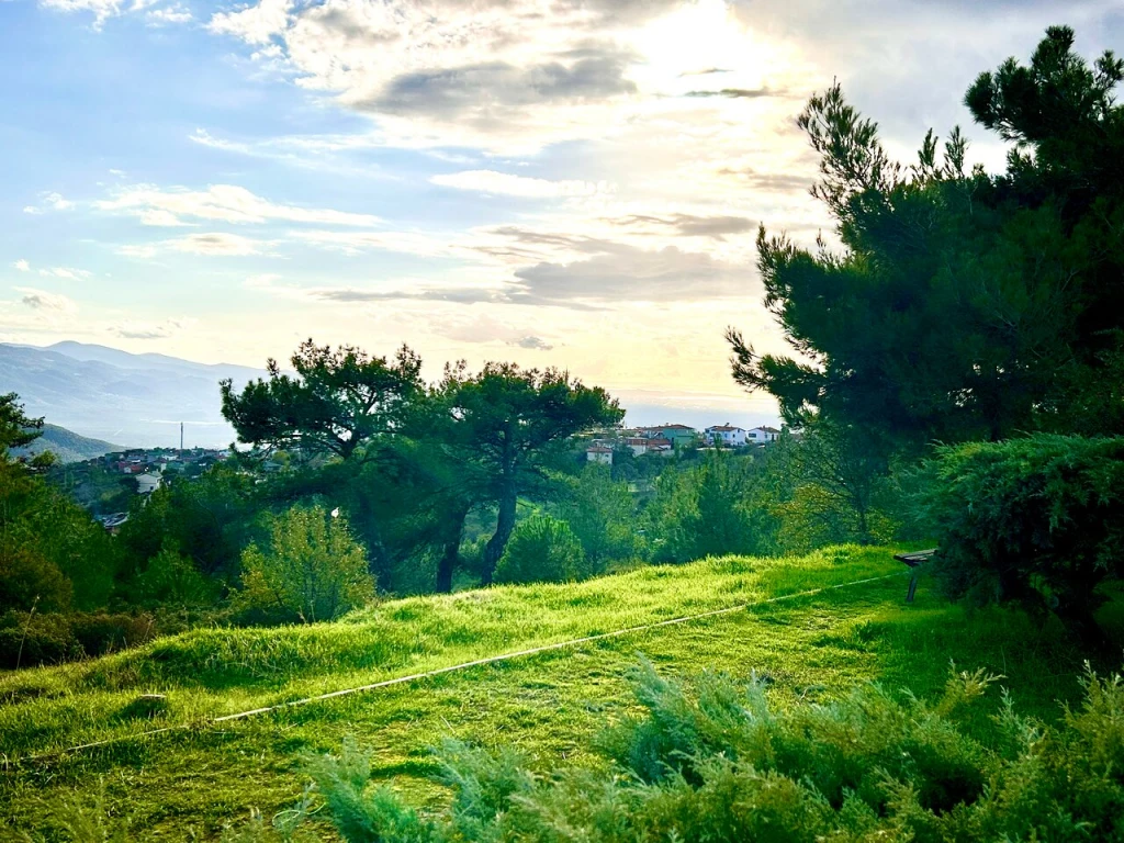 Seyit Onbaşı — ana fotoğraf