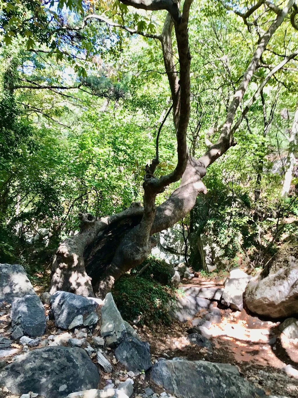 valla şelalesi — fotoğraf 2
