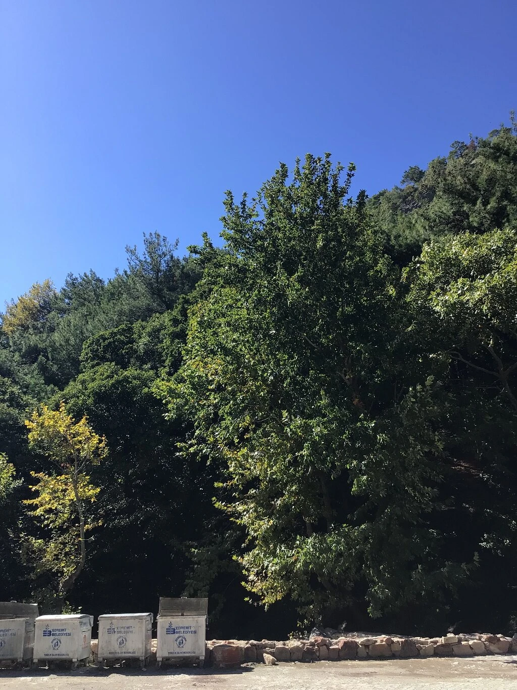 valla şelalesi — fotoğraf 4