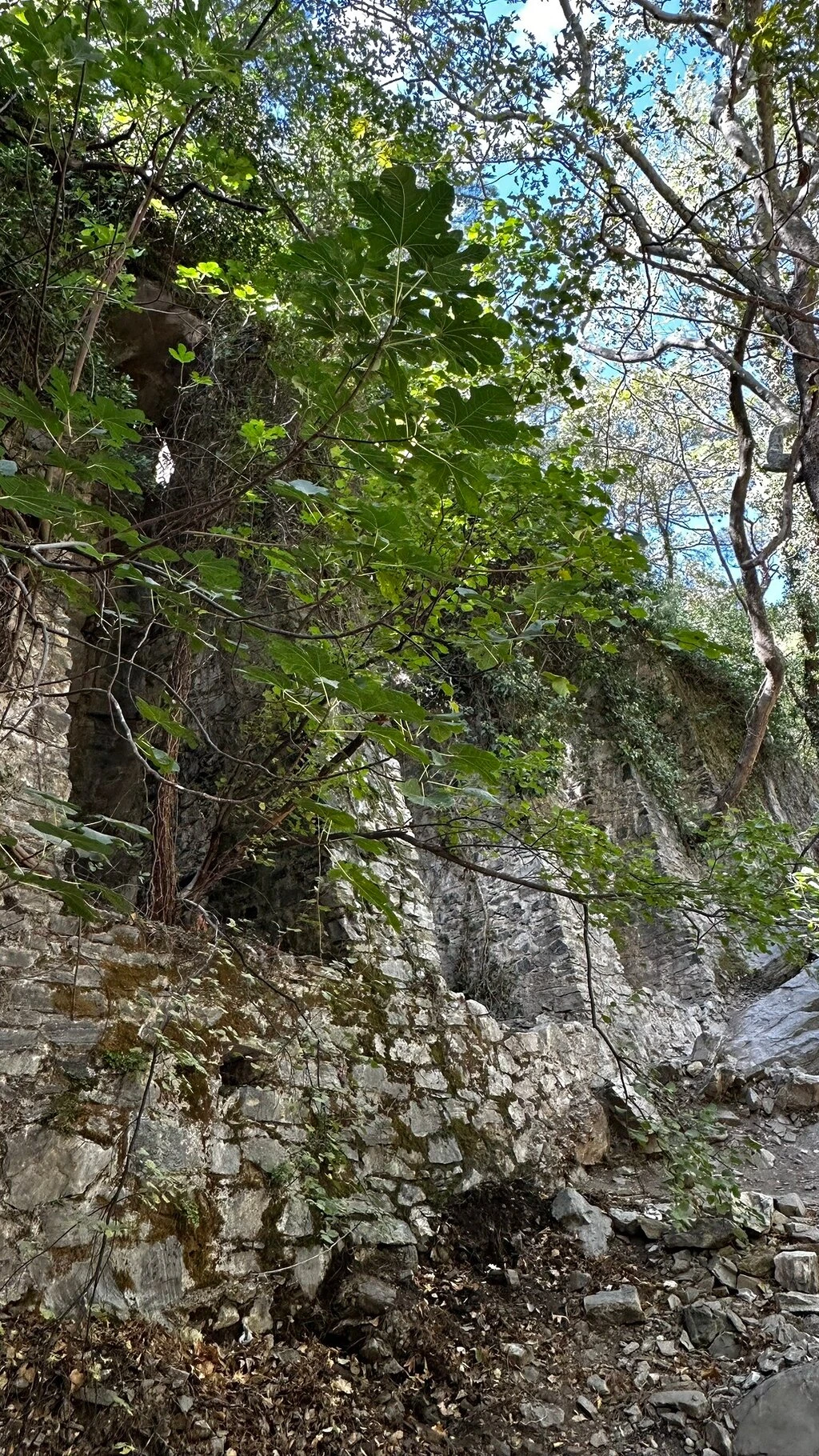 Sütüven Şelalesi — fotoğraf 3