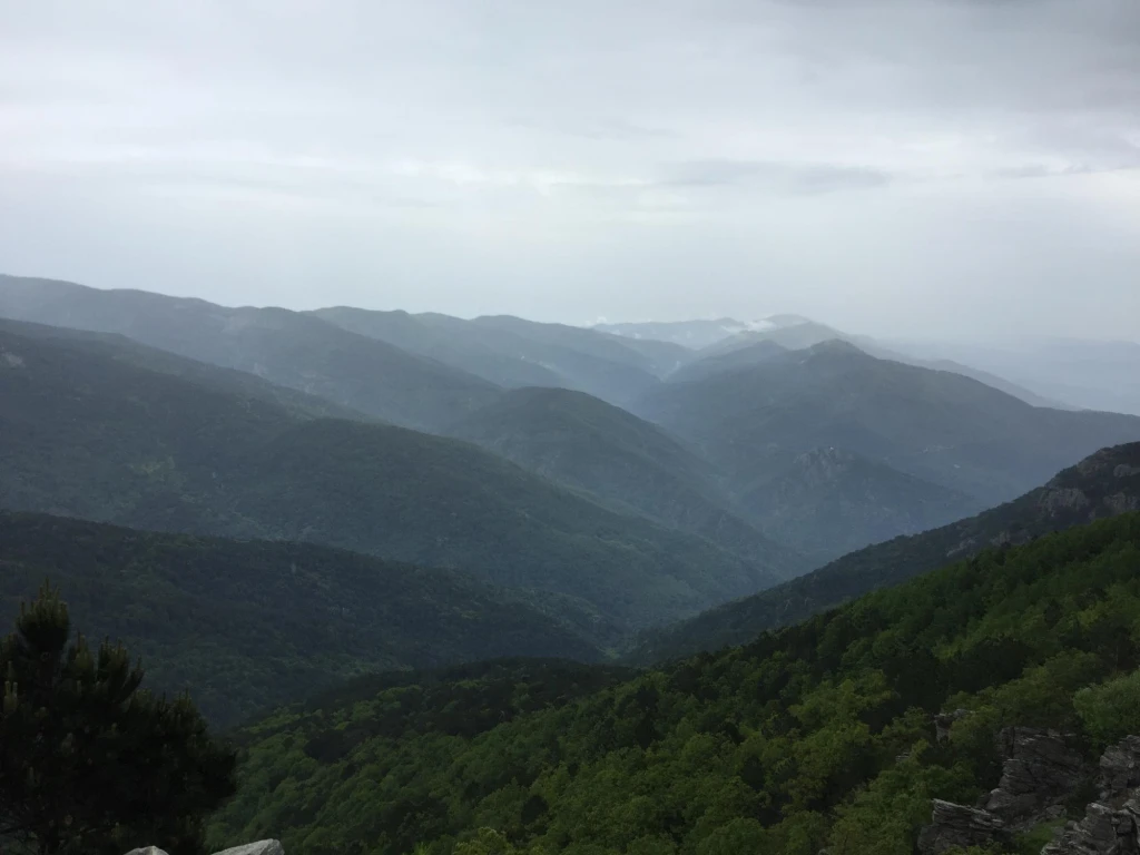 Zeus Altarı — fotoğraf 5