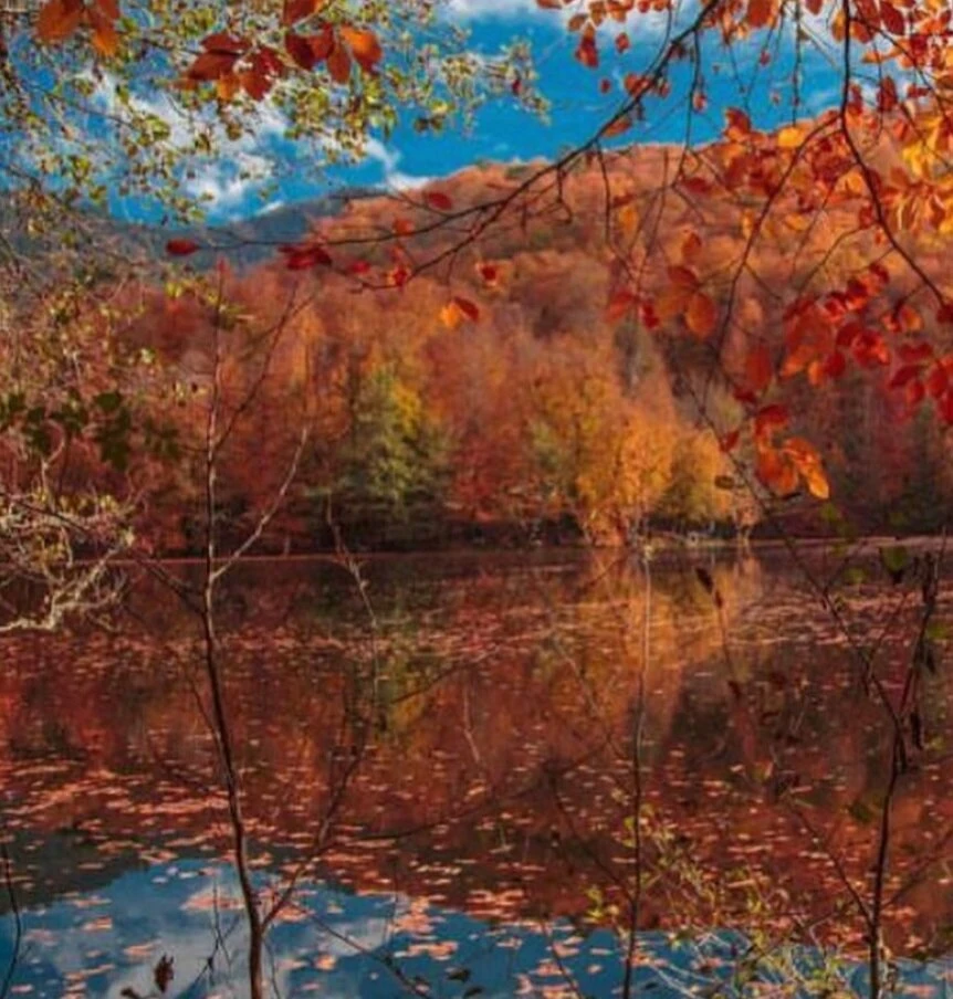 Yedigöller Millî Parkı — fotoğraf 2