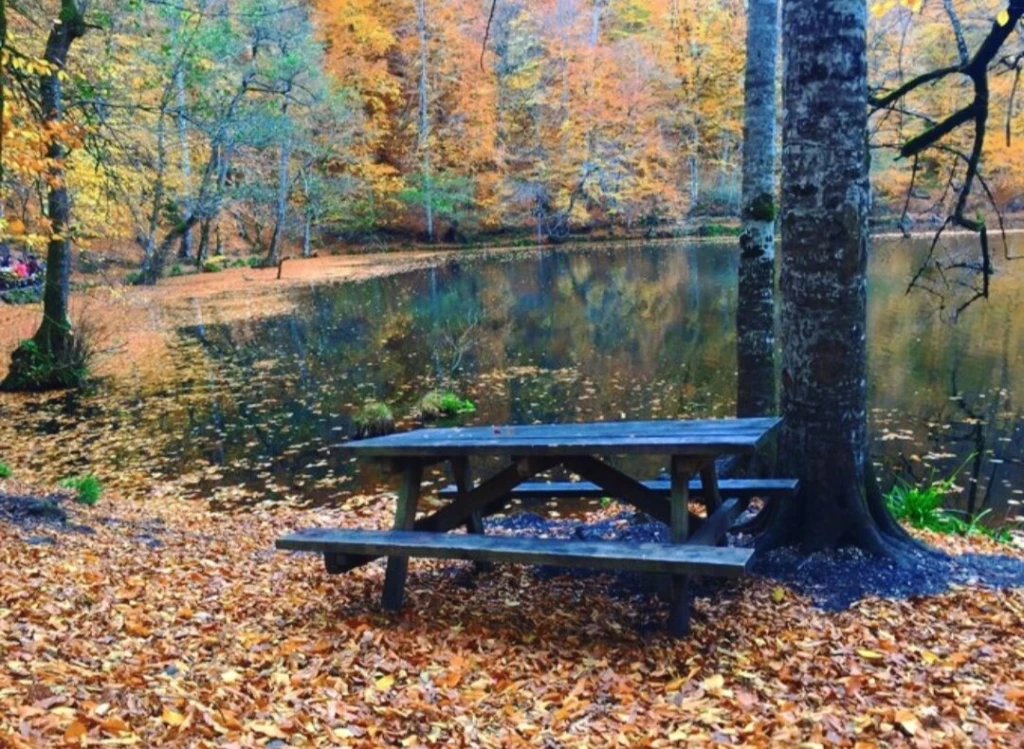 Yedigöller Millî Parkı — fotoğraf 3