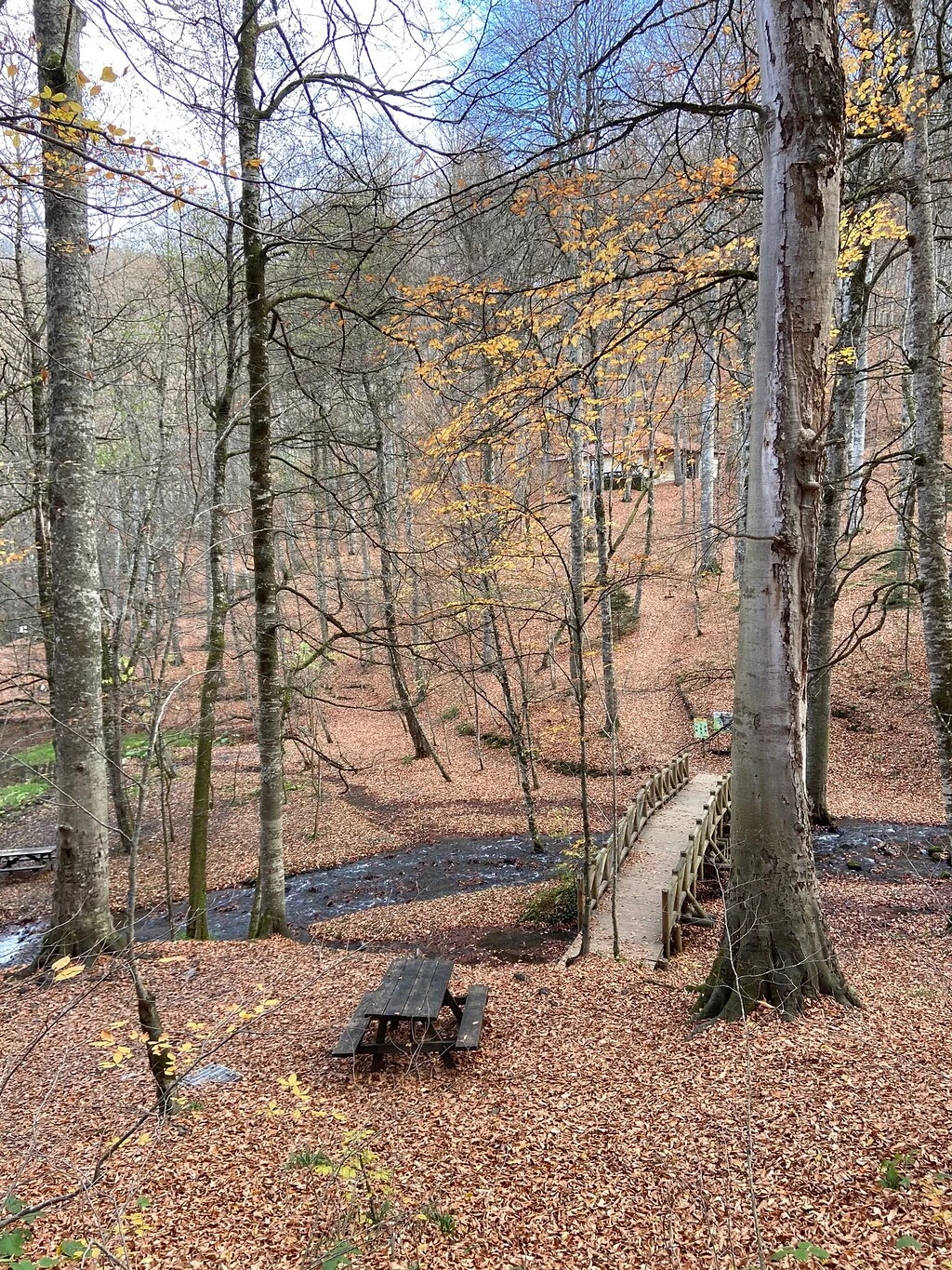 Yedigöller Millî Parkı — fotoğraf 4